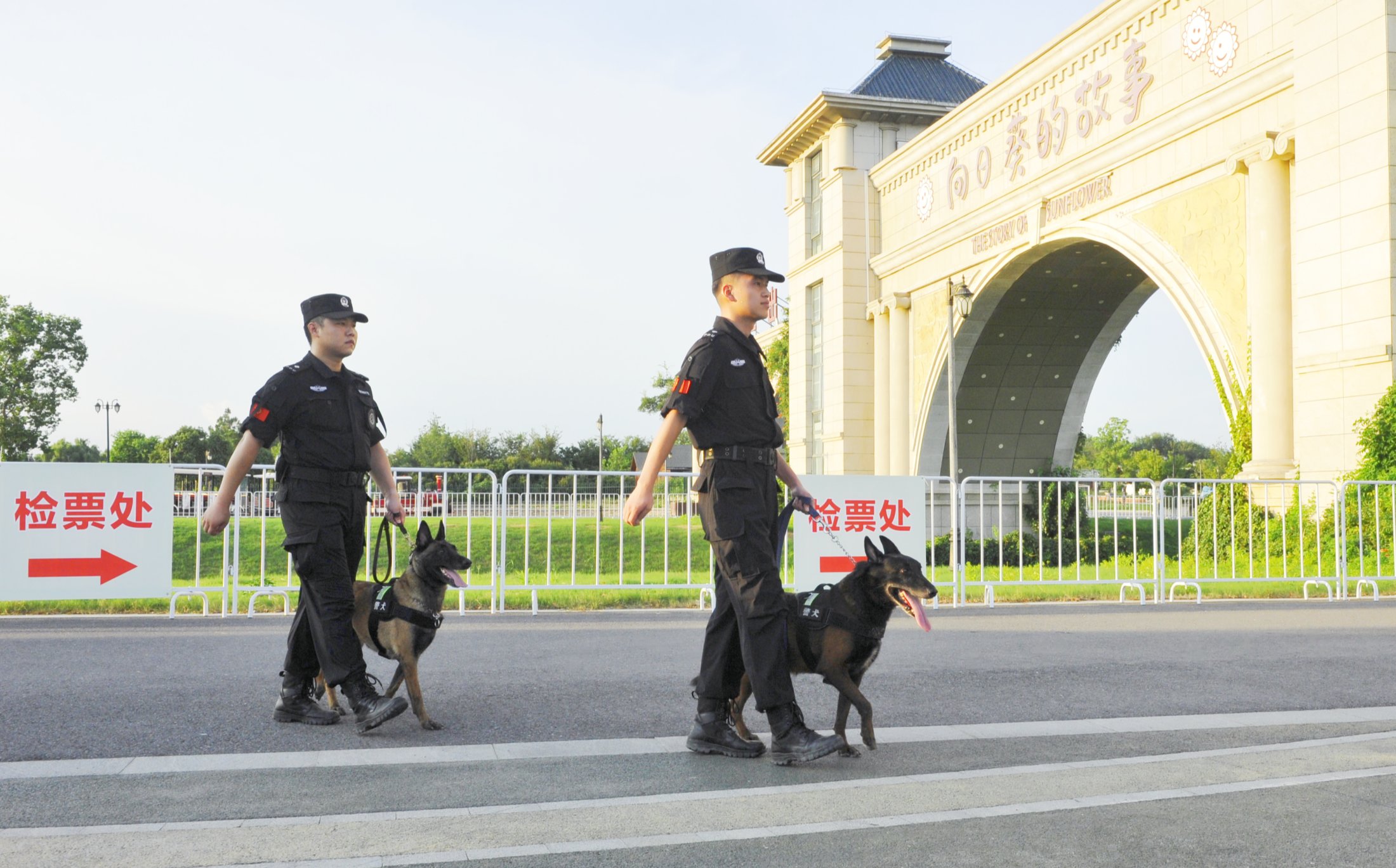 微信圖片_20250824222511_副本_副本_副本